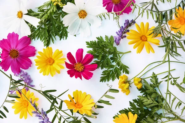 Flowers composition. various colorful flowers on white background. Flat lay, top view. yellow and red wildflowers.