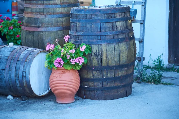 Wine barrels stacked in the old cellar of the winery. — Stock Photo, Image