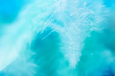 Yeşil turkuaz ve mavi renk trendleri tavuk tüyü doku arka plan