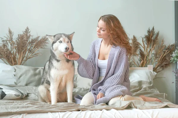 赤毛の女の子抱擁彼女の親友A犬ハスキー — ストック写真