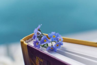 Makro fotoğraf, bahar çiçekli açık kitaplar nostaljik romantik ruh hali konsepti.