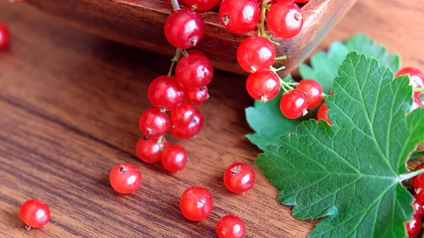 Wet red currant on brown wooden table. — Stock Photo, Image