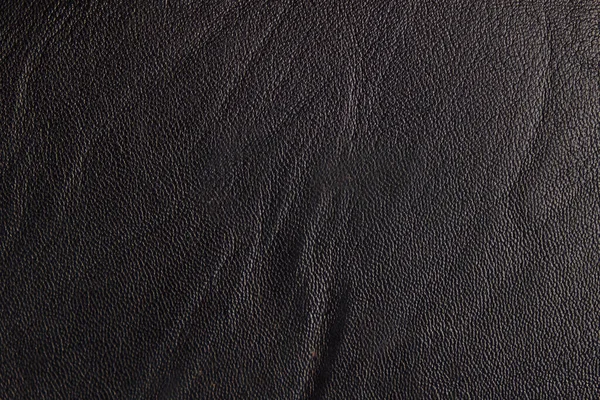 Textura de cuero negro sin costuras. Textura de alta resolución de pliegues. cuero de becerro negro —  Fotos de Stock