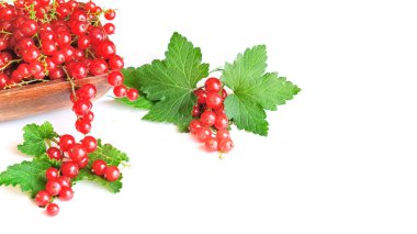 Beyaz arka planda izole edilmiş ahşap bir kasede taze kırmızı frenk üzümü. Yaz vitamin hasadı.