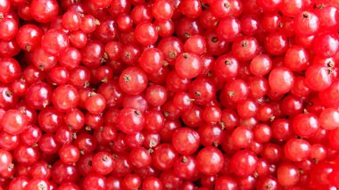 Kahverengi ahşap masada kuşüzümü var..