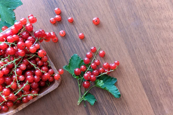 Nasse rote Johannisbeere auf braunem Holztisch. — Stockfoto