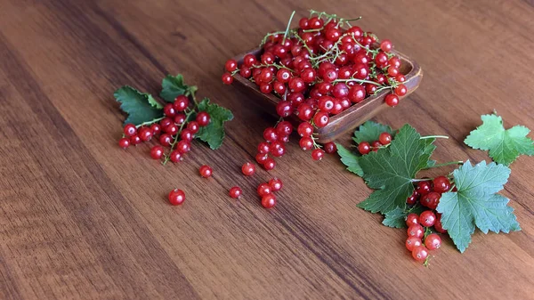 Grosella roja húmeda sobre mesa de madera marrón. — Foto de Stock