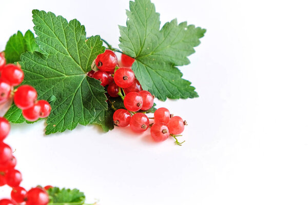 свежая красная смородина в деревянной чаше на белом фоне. летний сбор витаминов.