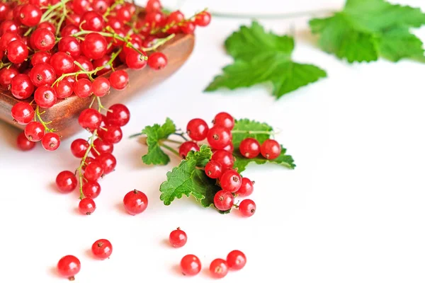 Grosella roja fresca en un tazón de madera aislado sobre fondo blanco. cosecha de verano de vitaminas. —  Fotos de Stock