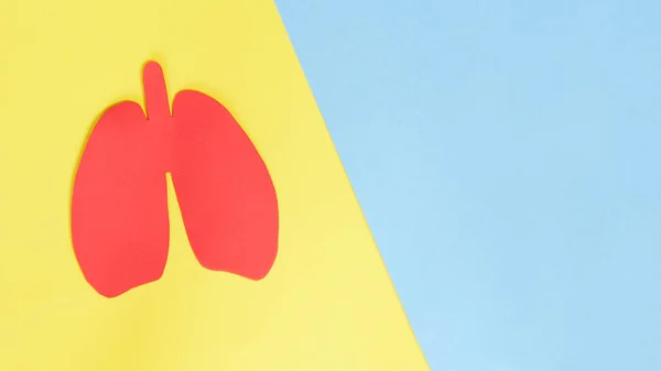 Sylwetka czerwonych papierowych płuc na żółtym tle. Koncepcja medyczna terapii płuc. koncepcja choroby układu oddechowego, zapalenie płuc, gruźlica, zapalenie oskrzeli, astma, ropień płuc — Zdjęcie stockowe
