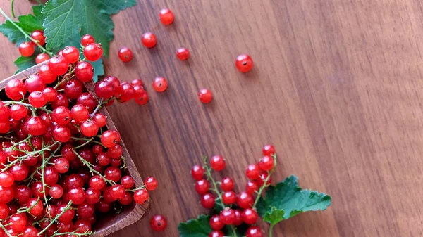 Grosella roja húmeda sobre mesa de madera marrón. — Foto de Stock