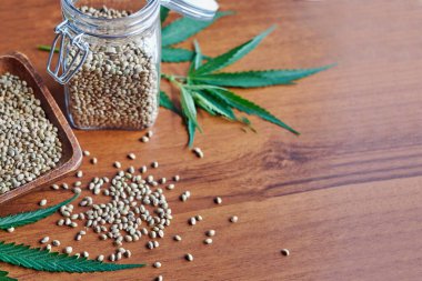 Masadaki kenevir tohumları, cam kavanozdaki yağ, beyaz arka plandaki kenevir yaprakları.