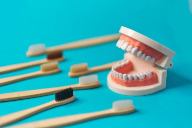 Mavi arka planda tahta diş fırçası olan beyaz dişli bir model. Diş sağlığıma. Dişçi günü konsepti. metin için boşluk kopyala.