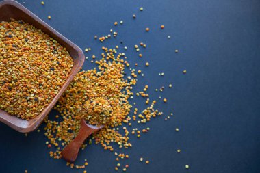 Tahta kaşıkta polen, sağlıklı besin maddeleri. Karanlık masa arka planı. İşçi bal arıları tarafından paketlenmiş çiçek poleni topağı ya da topağı