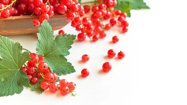 Grosella roja fresca en un tazón de madera aislado sobre fondo blanco. cosecha de verano de vitaminas. —  Fotos de Stock
