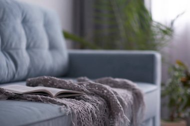 Turkuaz kanepeli rahat bir oturma odası. Kitap bir kanepede yatıyor, edebiyat çemberi kavramı.
