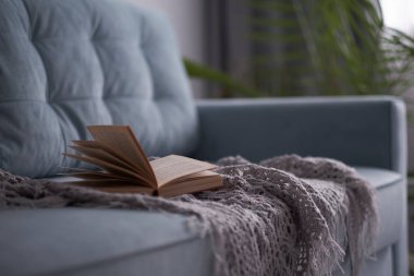 Turkuaz kanepeli rahat bir oturma odası. Kitap bir kanepede yatıyor, edebiyat çemberi kavramı.