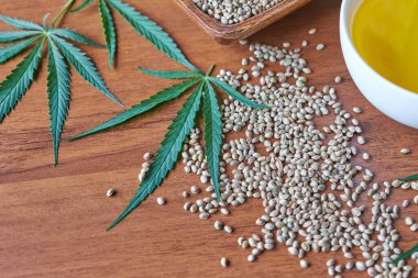 Masadaki kenevir tohumları, cam kavanozdaki yağ, beyaz arka plandaki kenevir yaprakları.