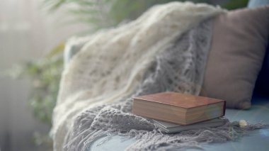 Turkuaz kanepeli rahat bir oturma odası. Kitap bir kanepede yatıyor, edebiyat çemberi kavramı.