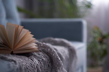 Turkuaz kanepeli rahat bir oturma odası. Kitap bir kanepede yatıyor, edebiyat çemberi kavramı.