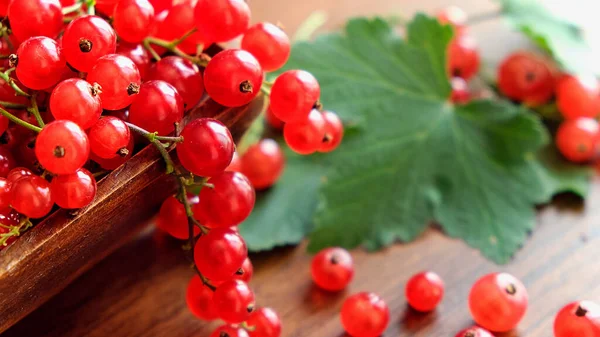 Grosella roja húmeda sobre mesa de madera marrón. — Foto de Stock