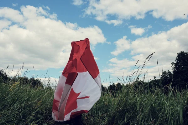 Szczęśliwy chłopiec machając flagą Kanady podczas biegania — Zdjęcie stockowe