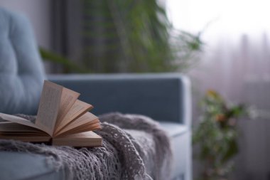 Turkuaz kanepeli rahat bir oturma odası. Kitap bir kanepede yatıyor, edebiyat çemberi kavramı.