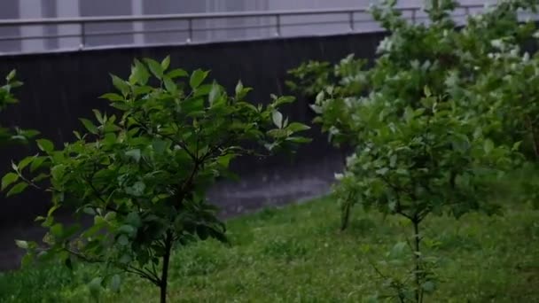 Lluvia en la ciudad. fuerte aguacero, un charco se está reuniendo en la acera. otoño nublado, estado de ánimo deprimido. cámara lenta de cerca Shot video. — Vídeos de Stock