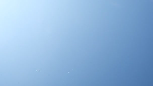 Bolhas voando em torno da natureza ensolarada. Belo tiro em câmera lenta de pequenas bolhas flutuando em direção ao céu azul claro. Filmado vídeo. — Vídeo de Stock