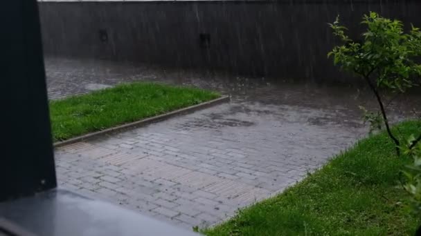 Lluvia en la ciudad. fuerte aguacero, un charco se está reuniendo en la acera. otoño nublado, estado de ánimo deprimido. cámara lenta de cerca Shot video. — Vídeos de Stock