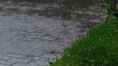 Şehirde yağmur yağıyor. Sağanak yağmur, kaldırımda bir su birikintisi toplanıyor. Bulutlu bir sonbahar, depresif bir hava. Yavaş çekim yakın çekim video.