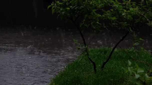 Chuva na cidade. forte chuva, uma poça está se reunindo na calçada. outono nublado, humor deprimido. slow motion close up Filme de vídeo. — Vídeo de Stock