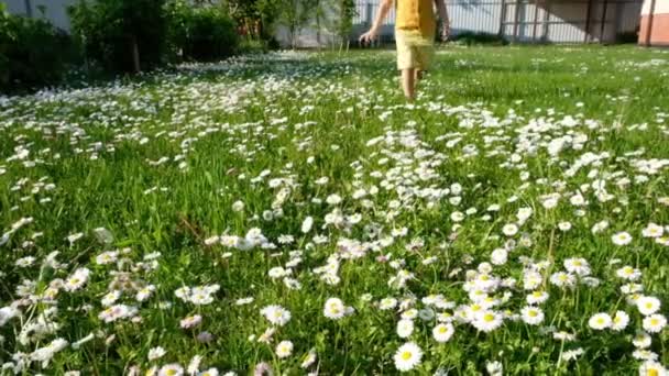 Slow motion closeup video van schattige peuter jongen voeten draait op vers groen gras. — Stockvideo