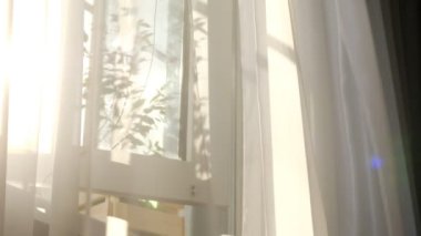 Pencerede şeffaf bir perde var, rüzgarla hafifçe hareket ediyor. Güneş ışığı. Güneş ışınları şeffaf tüllerin içinden parlıyor.