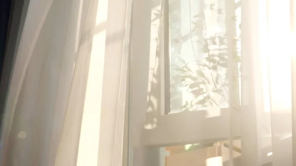 El viento sopla a través de la ventana abierta en la habitación. Ondeando tul blanco cerca de la ventana. Sol de la mañana iluminando la habitación, superposiciones de fondo de sombra. — Foto de Stock