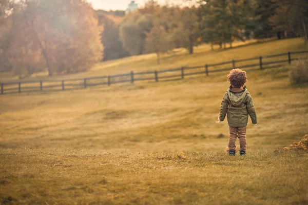 어린 소년은 가을 공원에서 혼자 걷고. — 스톡 사진