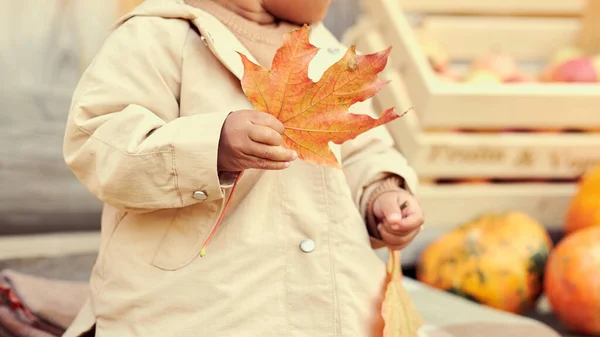 가을 나뭇잎을 가지고 노는 어린 소녀. 섬세 한 실크 실크와 비단 옷을 걸치고. — 스톡 사진