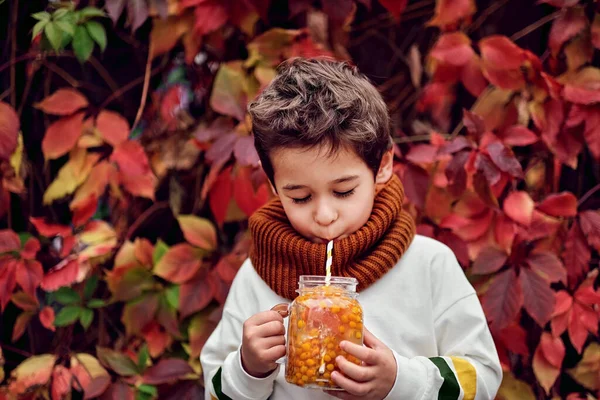 Cute fashionable boy holding a sea buckthorn drink on a background of wild grapes. — Stock Photo, Image