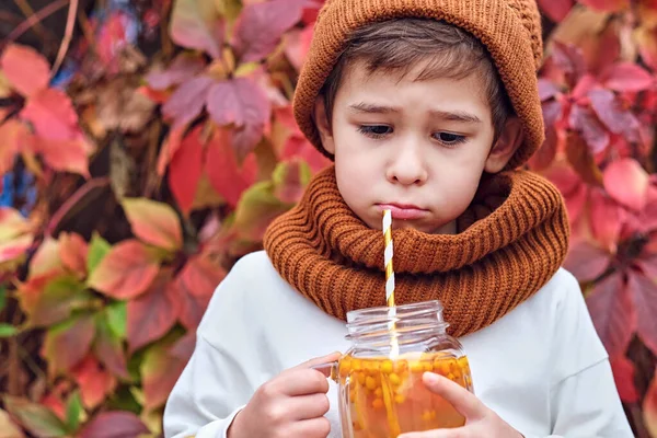 Menino elegante bonito segurando uma bebida espinheiro mar em um fundo de uvas selvagens. retrato de menino triste, outono blues conceito — Fotografia de Stock