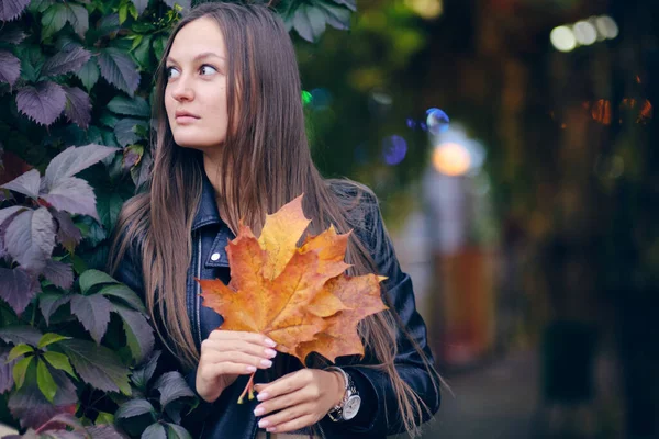 Jovem mulher bonita em uma jaqueta de couro preta elegante em um fundo de uvas selvagens. Retrato de outono em tons escuros. senhora segurando folhas de bordo — Fotografia de Stock
