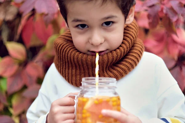 Bonito elegante menino segurando um mar buckthorn bebida em um fundo de uvas selvagens. — Fotografia de Stock