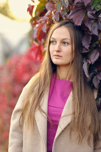 Młoda piękna kobieta w różowym swetrze z dzianiny patrzy na bok, na tle dzikich winogron. Jesienny portret. — Zdjęcie stockowe