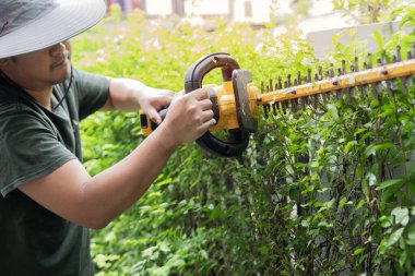 Elektrikli testereyle çalı budamak, çalı biçme konsepti. Asyalı adam evde bahçe işleriyle uğraşıyor..