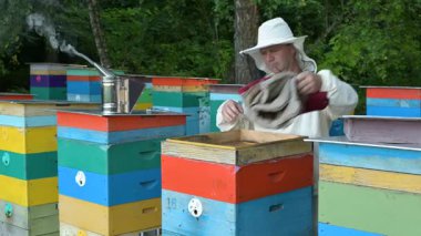 Arıcı kovandaki balla çerçeveleri inceliyor. Arı yetiştiricisi arı kovanlarını teftiş eder, arıların orta boy bala getirdikleri bal miktarını kontrol eder.