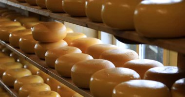 Raflar Hollanda peynir ile