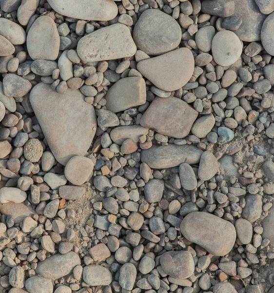 不同大小的灰色宝石 背景的石头 海滩上的石头 — 图库照片