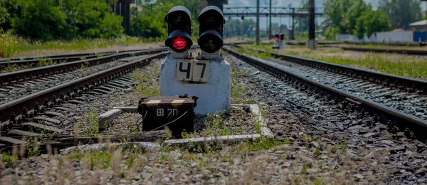 Traffic Light Visar Röd Signal Järnvägen Rött Ljus Järnvägsspår Med — Stockfoto