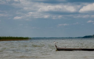 Bir gölde - bir tekne içinde oturan ve teknede ayakta su adlı üç martılar.
