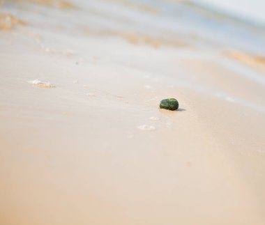 Bir plajda denizin içinde belgili tanımlık geçmiş ile çakıl.