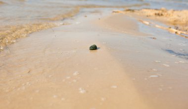 Bir plajda denizin içinde belgili tanımlık geçmiş ile çakıl.